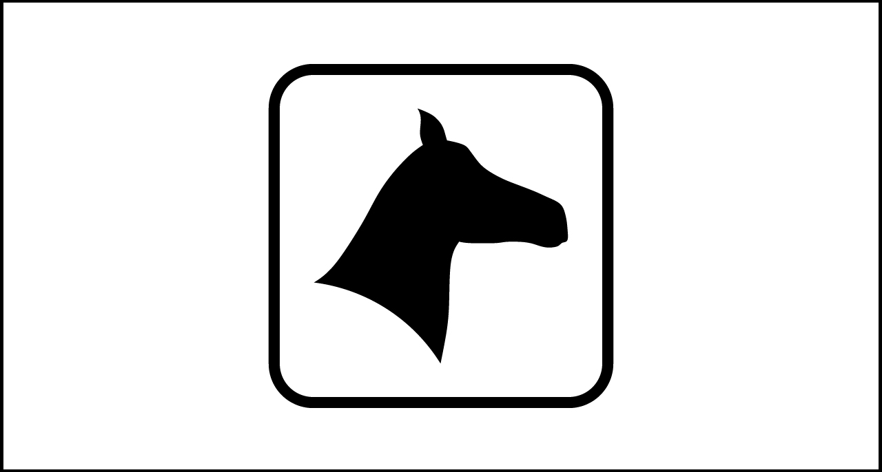 SLR2119 – Maneggio