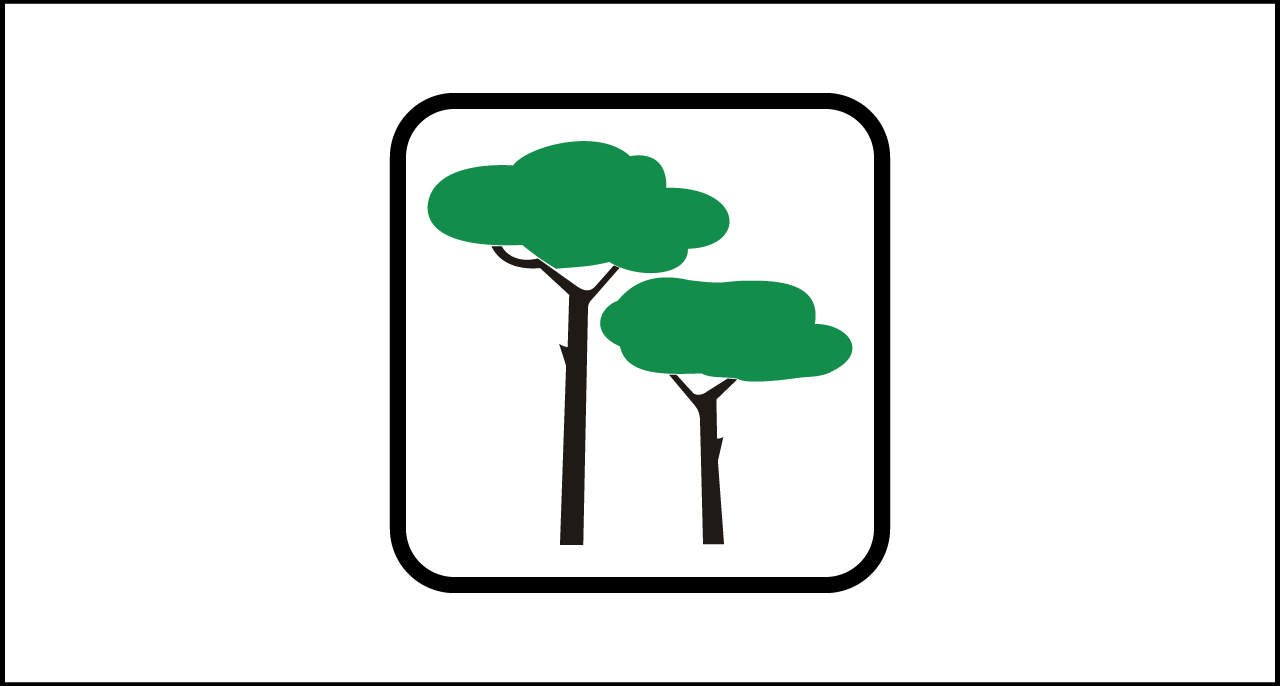 Fig. II 211 Art.125  Pineta