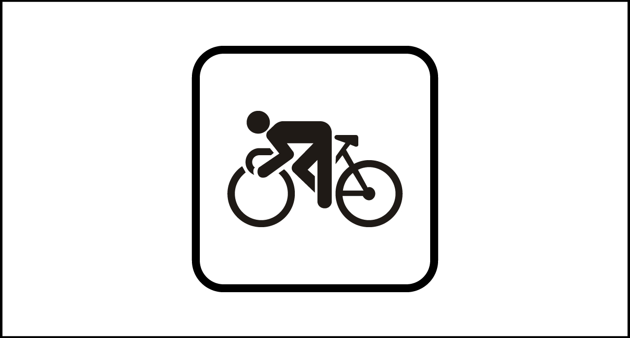 Fig. II 218 Art.125 – Velodromo